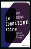 Pap Ndiaye, La Condition noire