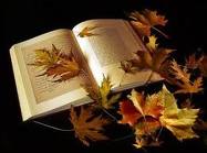 Les (bonnes) feuilles d'automne