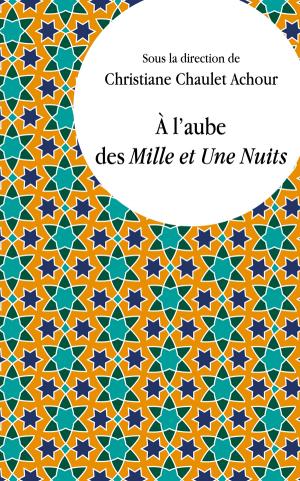 Chr. Chaulet Achour (dir.), À l'aube des Mille et Une Nuits. Lectures comparatistes