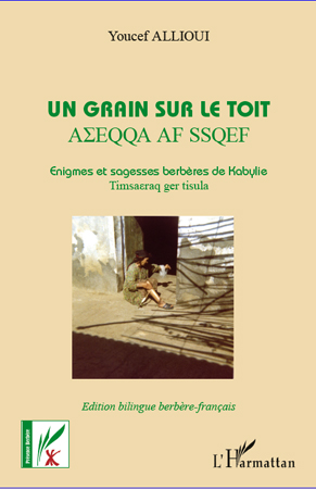 Y. Allioui, Un grain sur le toit - Enigmes et sagesses berbères de Kabylie