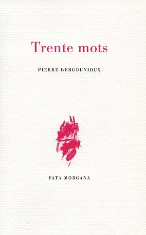 P. Bergounioux, Trente mots