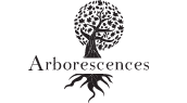 Arborescence, n° 6 :