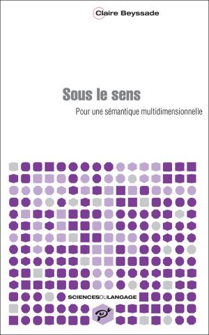 C. Beyssade, Sous le sens. Pour une sémantique multidimensionnelle