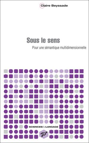 C. Beyssade, Sous le sens. Pour une sémantique multidimensionnelle