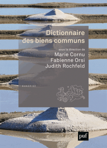 M. Cornu, F. Orsi, J. Rochfeld, Dictionnaire des biens communs