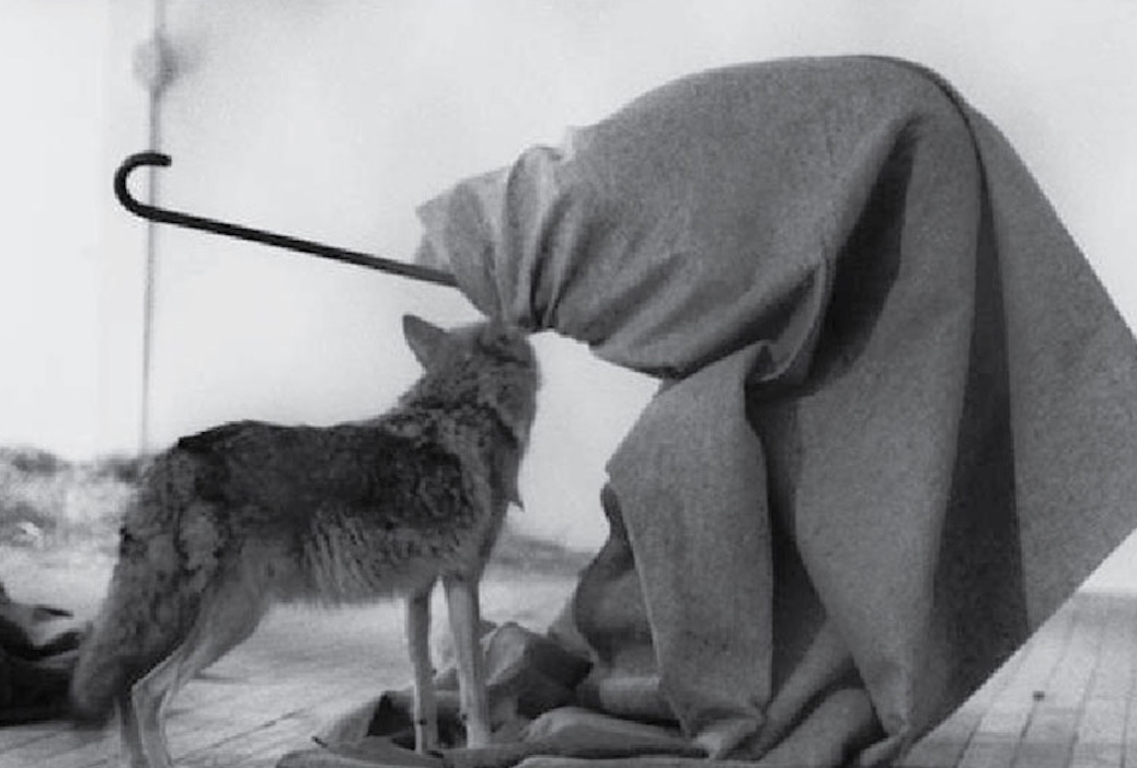 La parole aux animaux