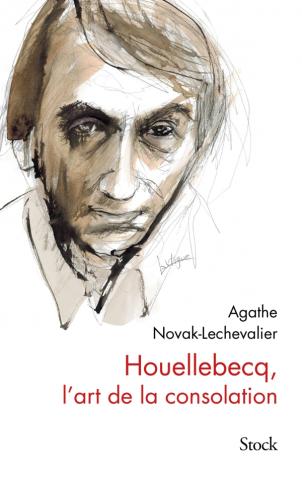 Perspectives critiques sur Michel Houellebecq (Paris Nanterre)