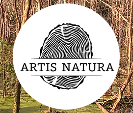 Artis Natura, vol. 3, n° 2 :