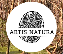 Artis Natura, vol. 3, n° 2  : 