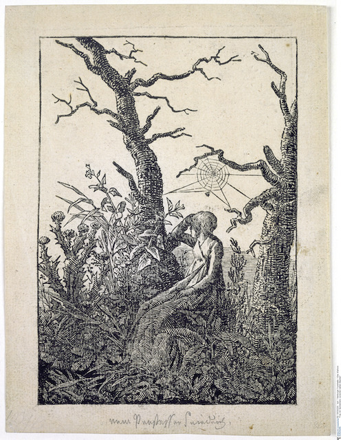 Jardin et mélancolie entre le XVIe siècle et l'époque contemporaine (revue Histoire culturelle de l'Europe)