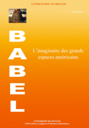Babel, Littératures plurielles, n° 39 :