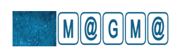 M@GM@, vol.17, n°3,