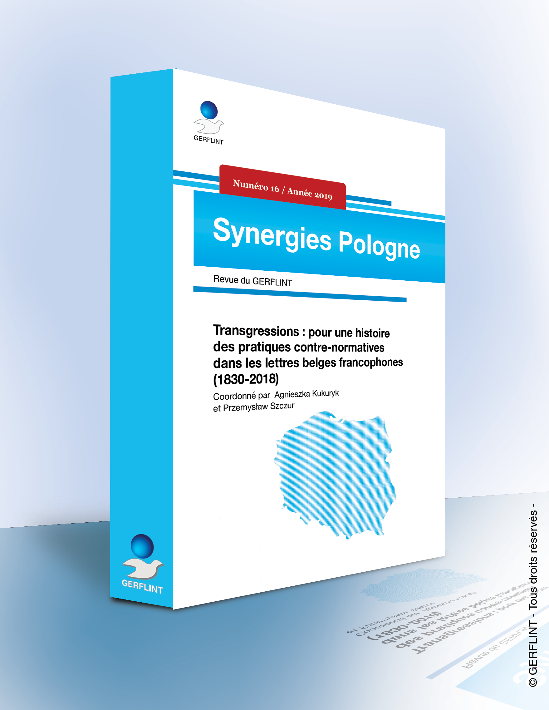 Synergies Pologne, n° 16 :