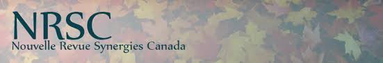 Nouvelle Revue Synergies Canada, n° 13 (2020):