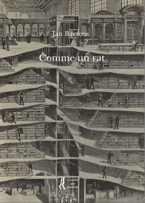 Comme un rat de bibliothèque