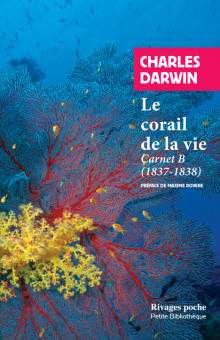 Ch. Darwin, Le corail de la vie. Carnet B (1837-1838)