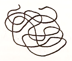 img-5.png