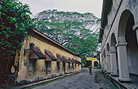 img-8.jpg