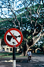 img-9.jpg