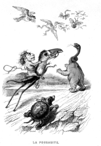 img-13.jpg