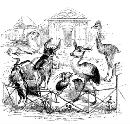 img-14-small450.png