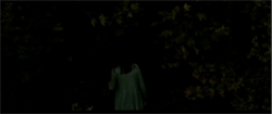 img-3.png